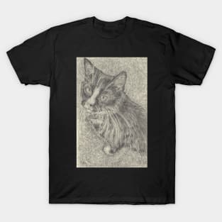 Cat pencil drawing T-Shirt